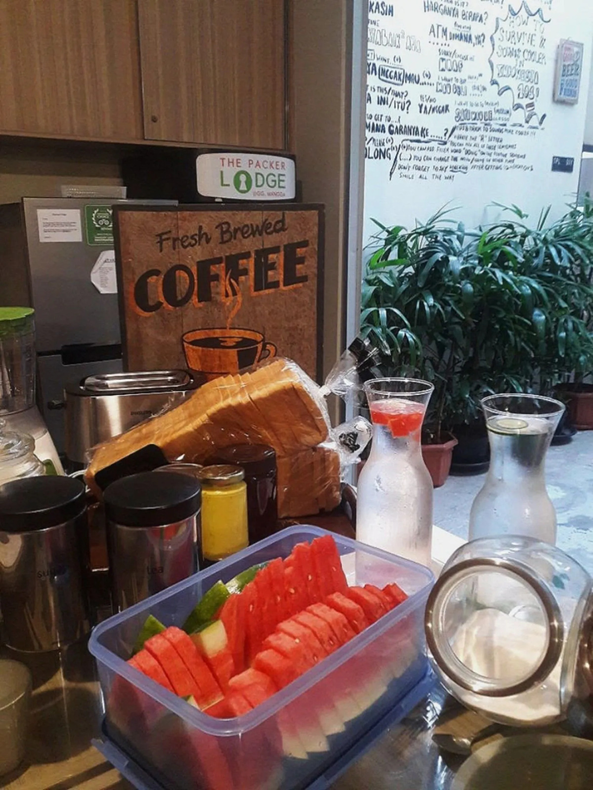 The Packer Lodge - Hostel