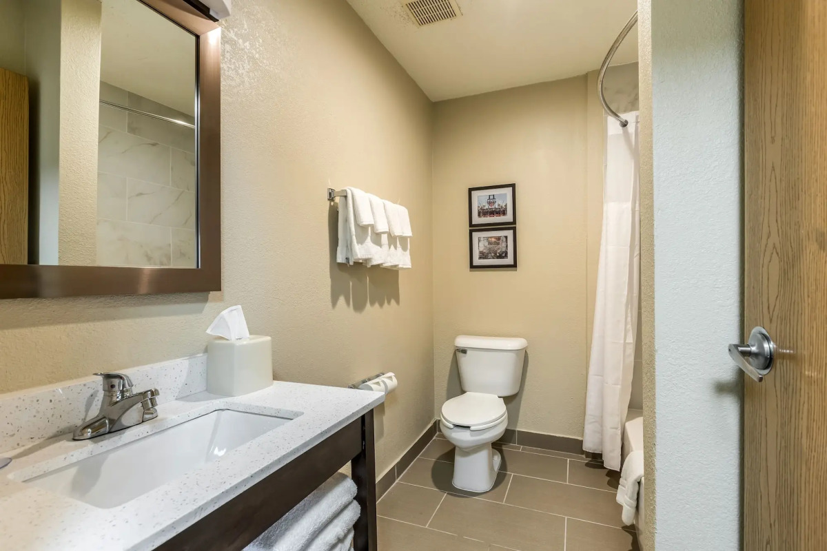 Comfort Inn Detroit Downtown