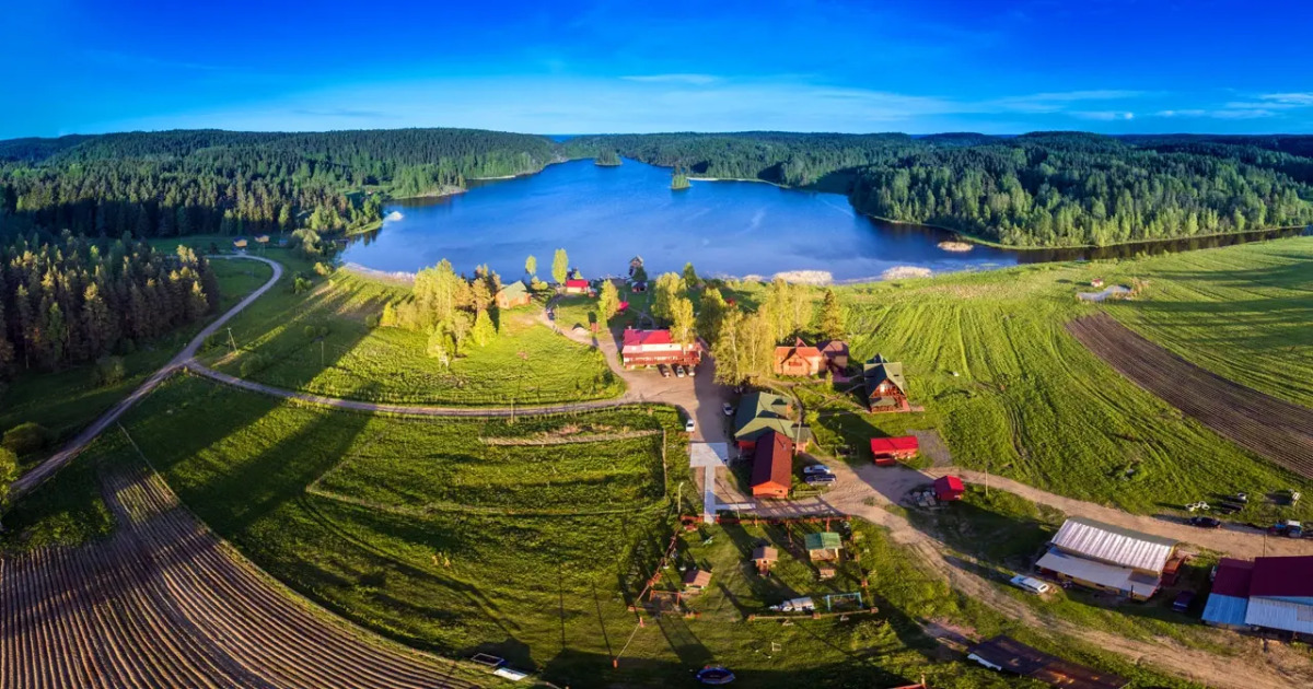 Микли Ольгино