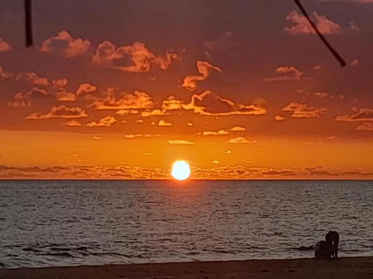 Malika's Yellow House