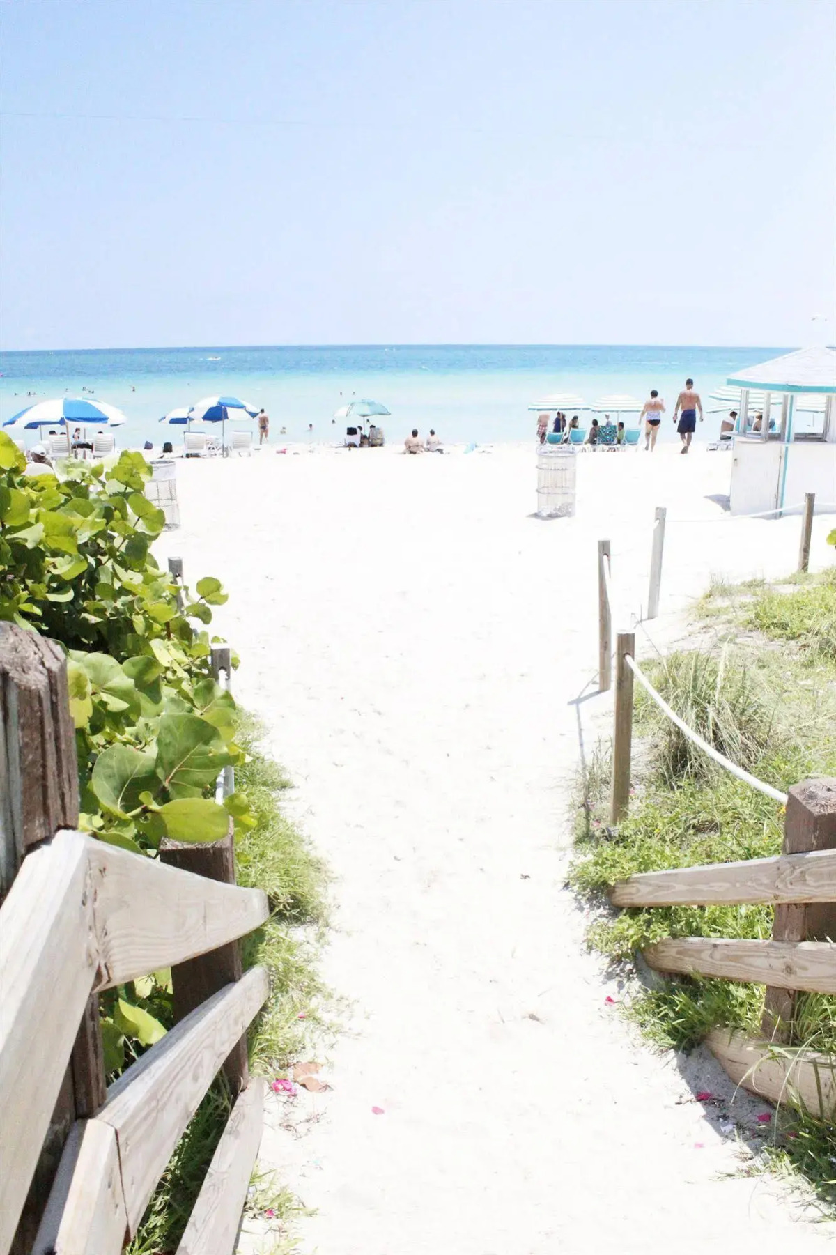 Notebook Miami Beach