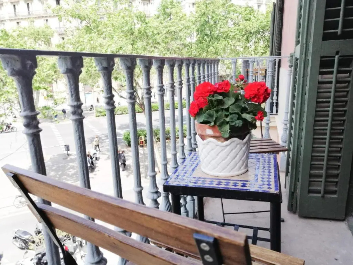 Casa Consell Gran Vía, Guest House