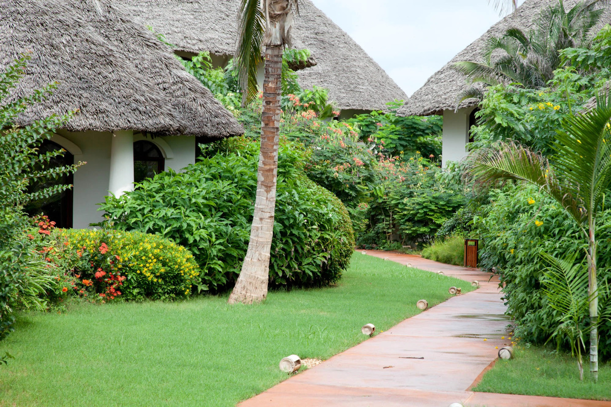 Essque Zalu Zanzibar