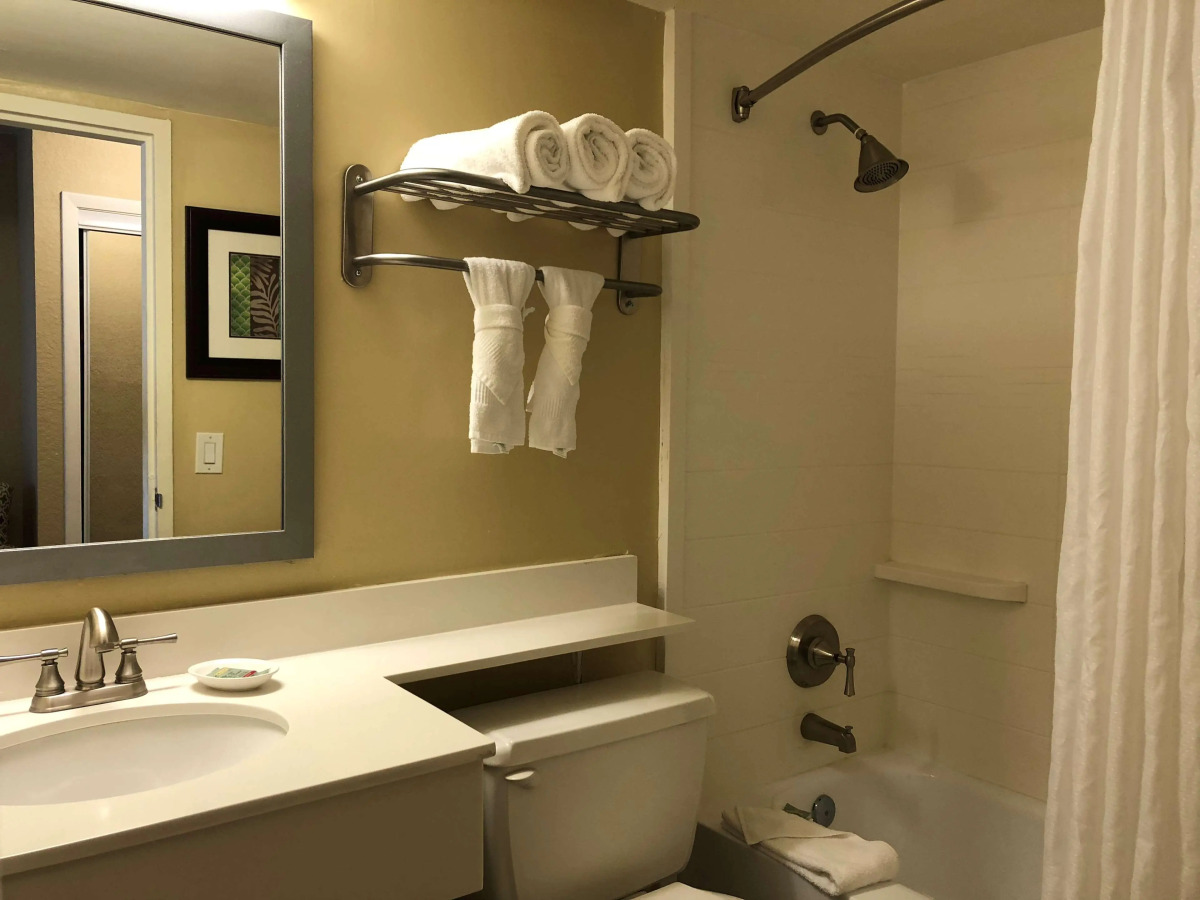 Palm Tree Club Miami Hotel