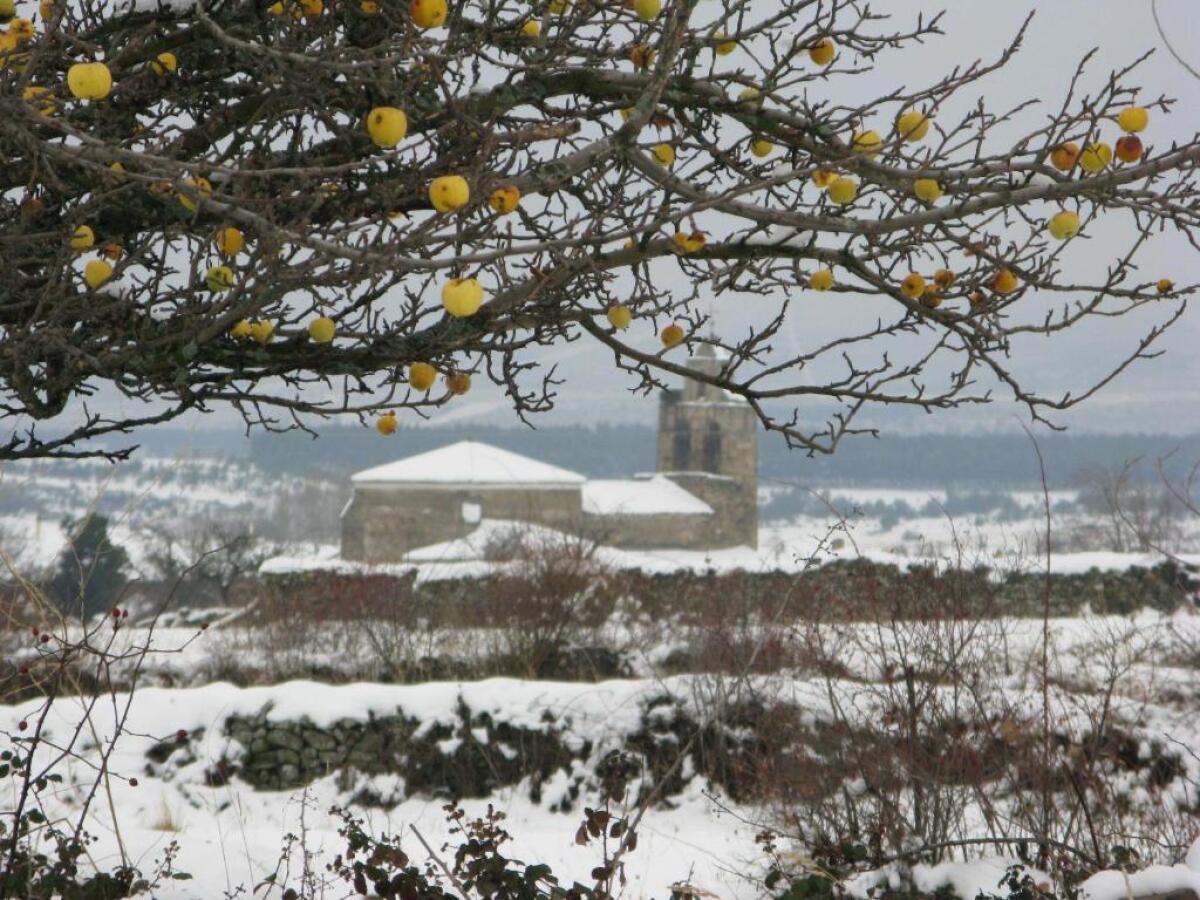 Rusticae Hostería Camino