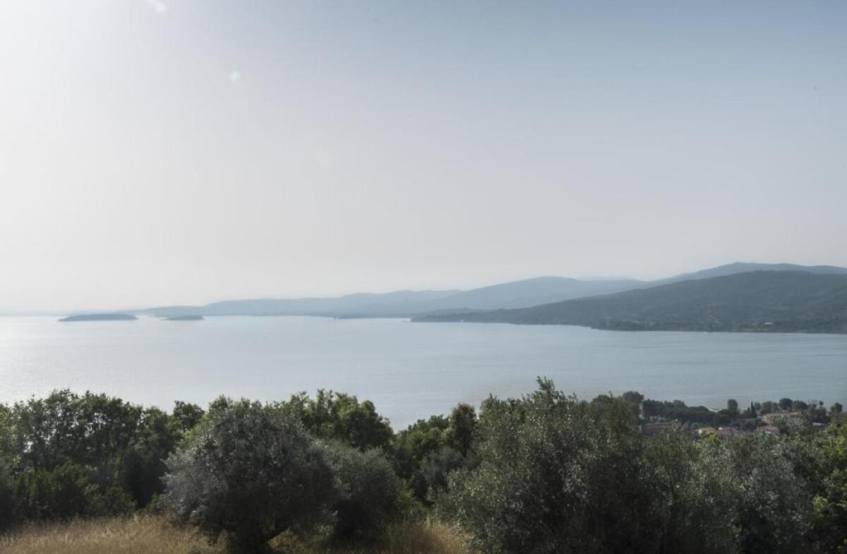 Agriturismo Borgo Spagnoli