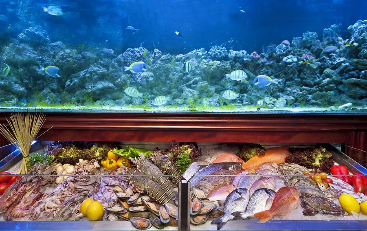 Swiss Hotel Corniche