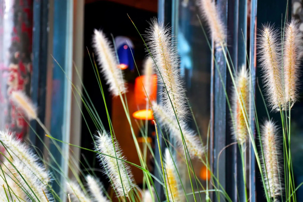 Peking International Youth Hostel