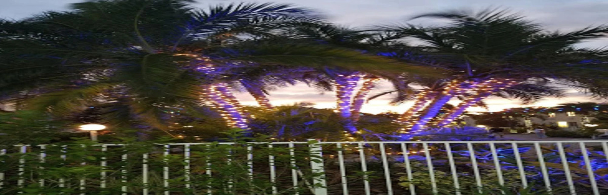 Quality Inn & Suites Tampa-Ybor City