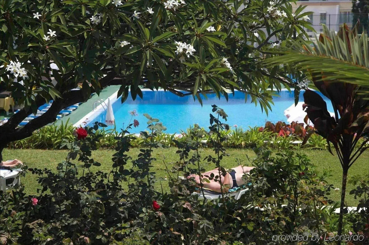 Dorisol Mimosa Studio Hotel