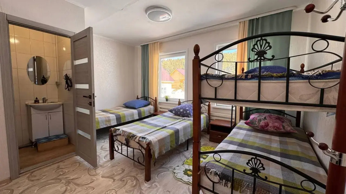 Кедр Золотой