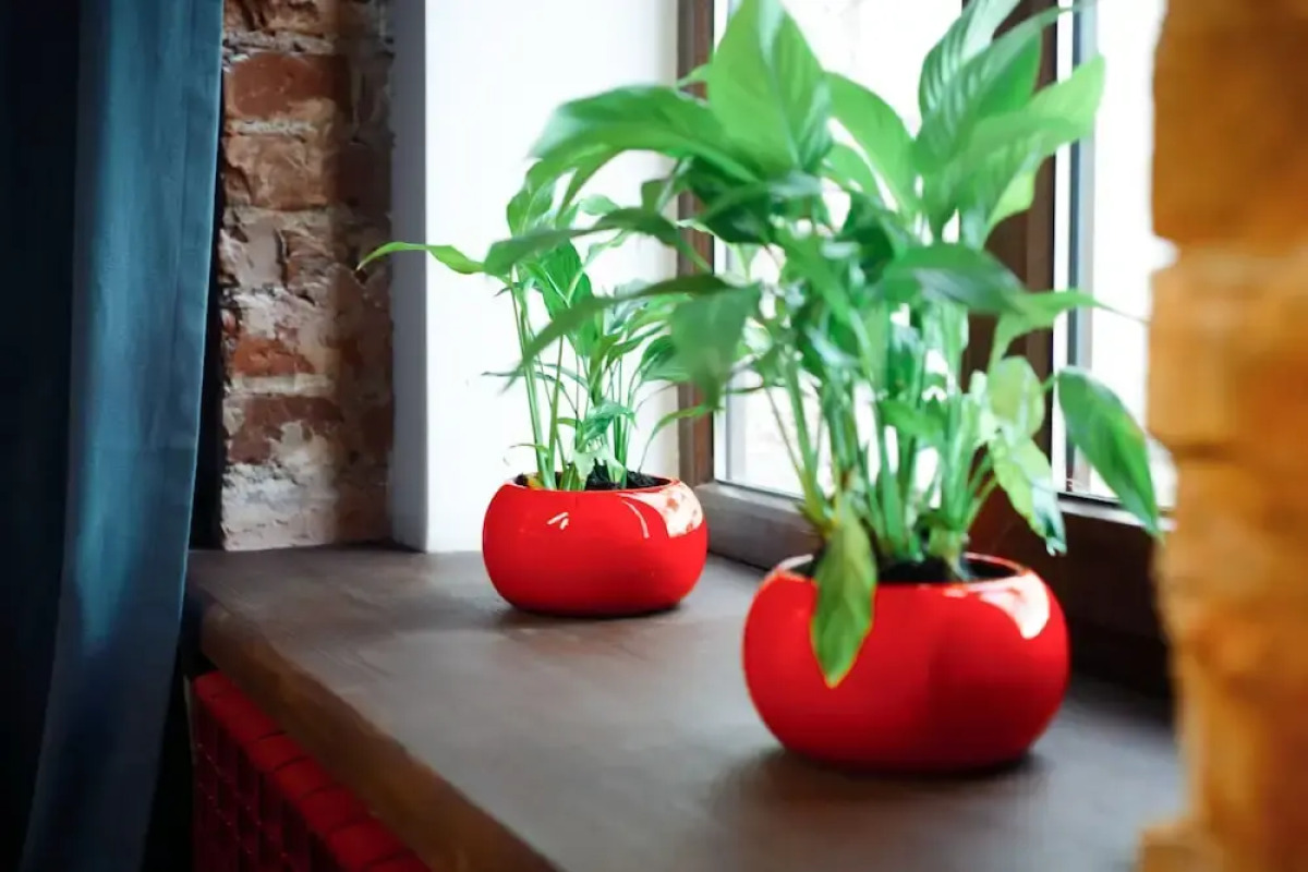 Рус-Ярославль хостел