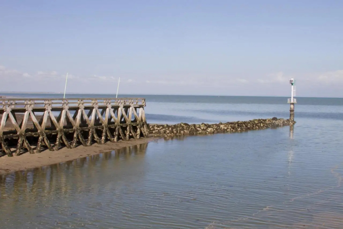 Adonis Grandcamp - Les Isles de Sola