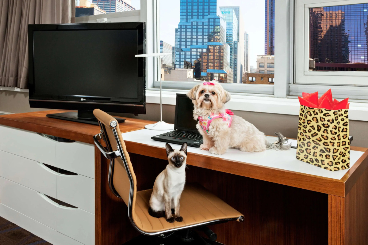 Отель DoubleTree by Hilton Metropolitan - New York City