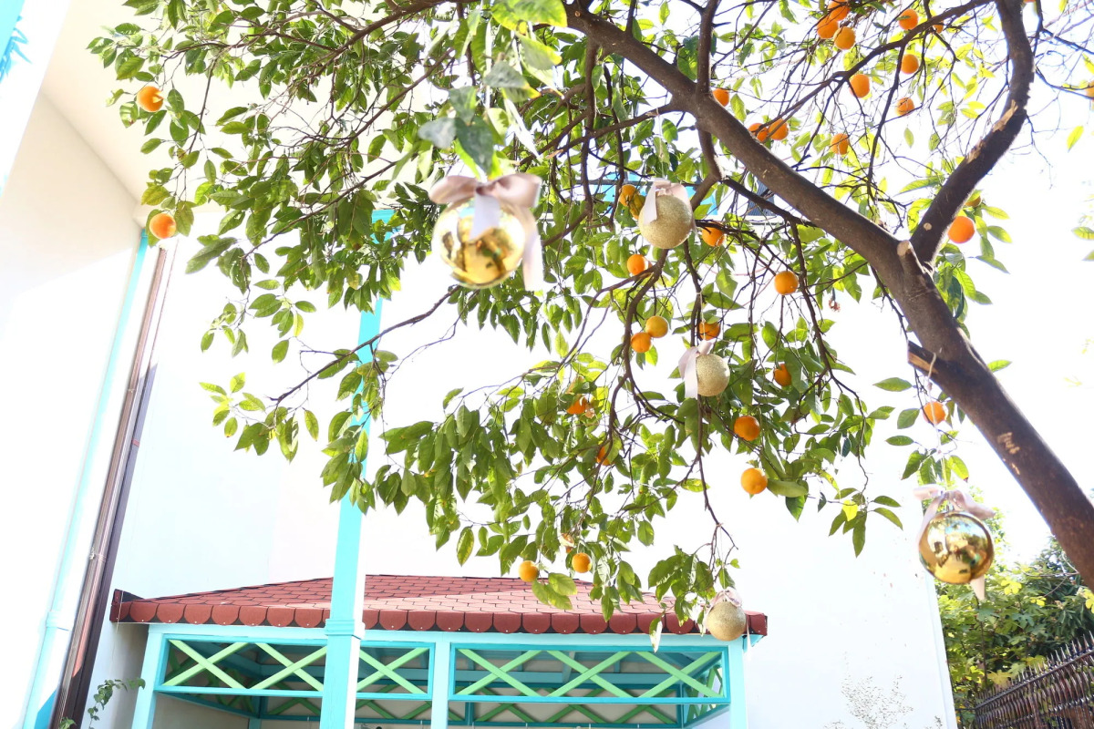 Delight Deluxe Aparts