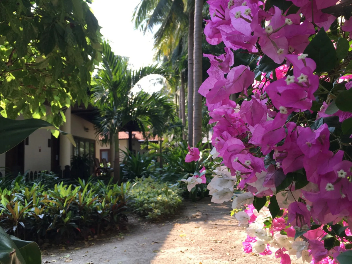 Diamond Bay Resort and Spa