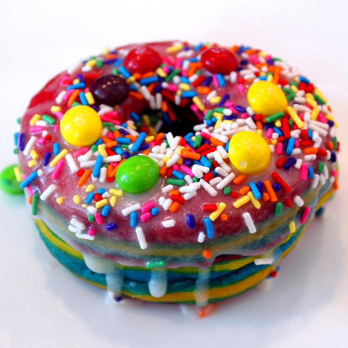 Casa Victoria Orchid