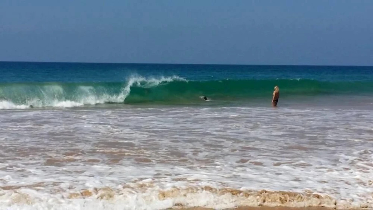 Time N Tide Beach Resort