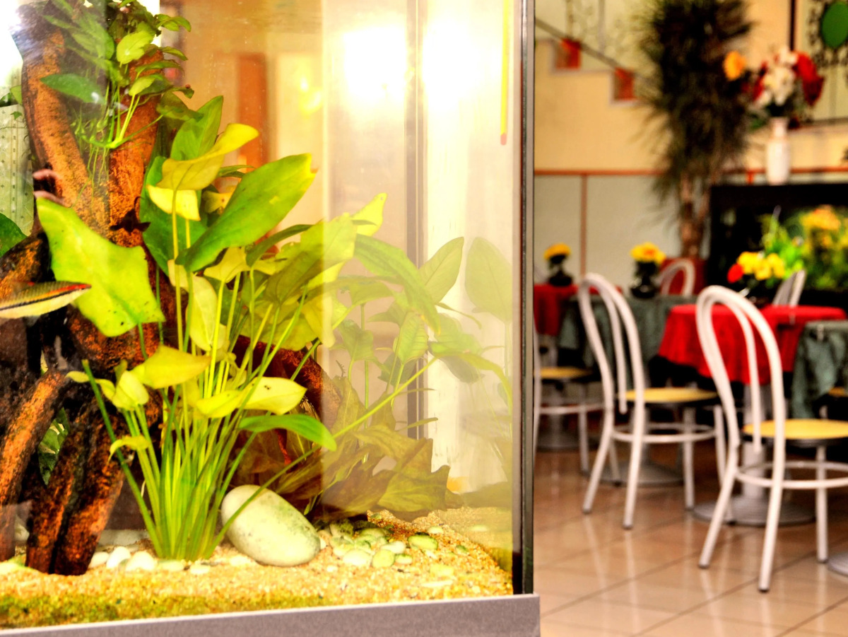 Hotel San Siro Fiera