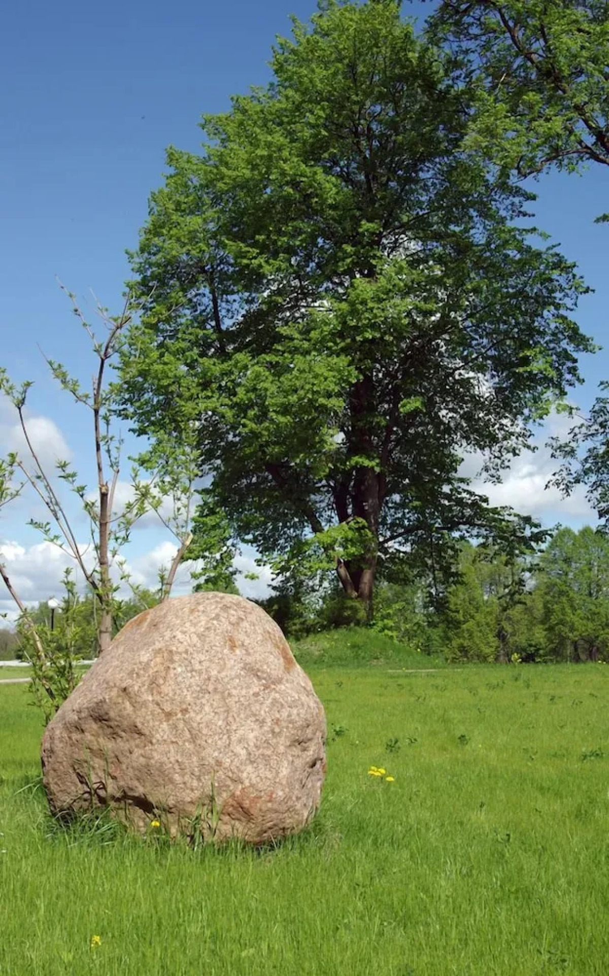 Отель «Вишневый сад»