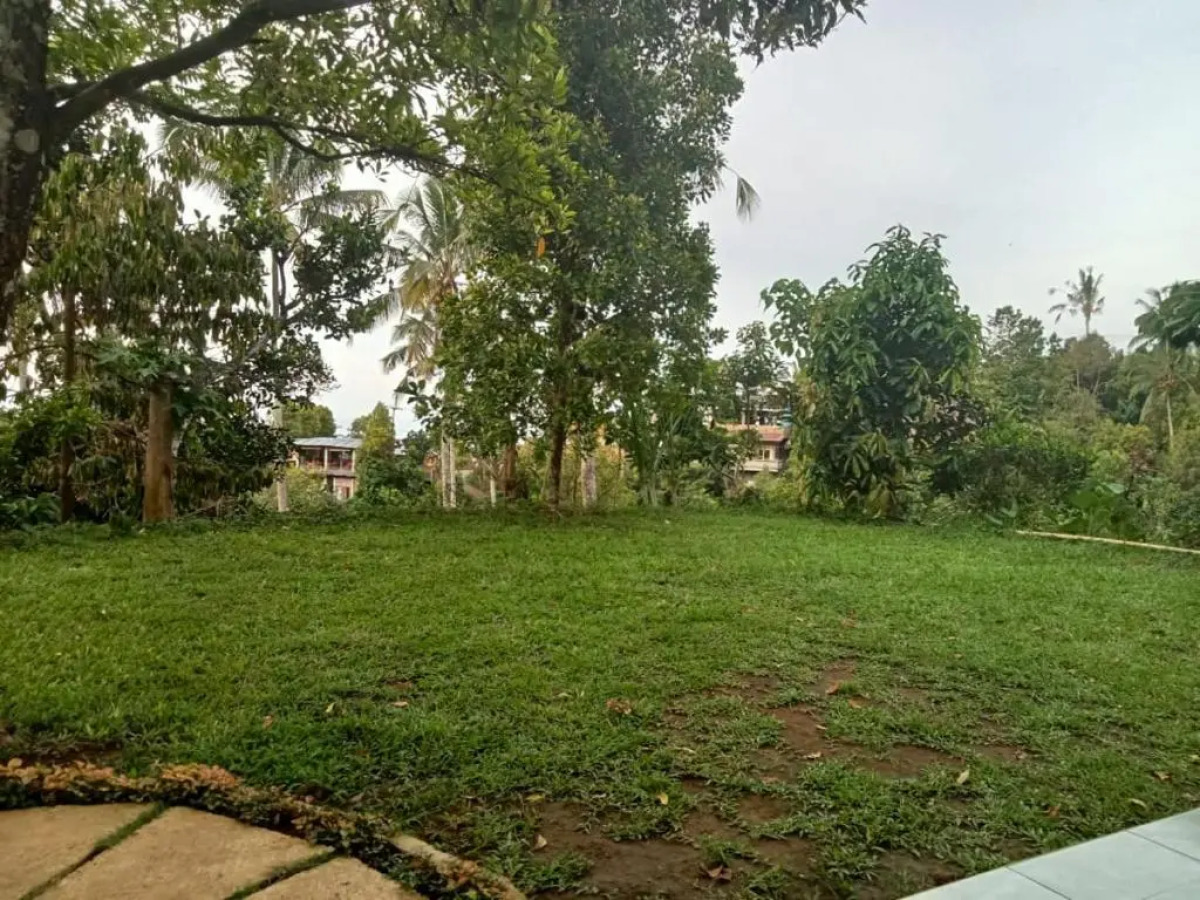 Sekumpul Local House