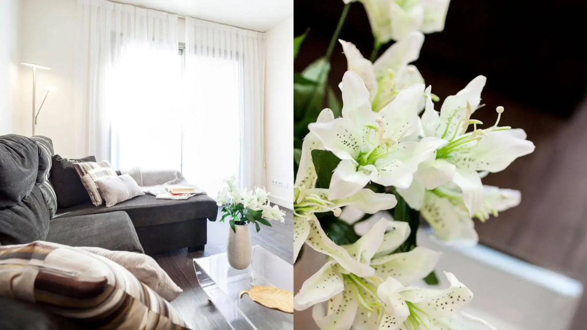 Aspasios Catedral Apartments