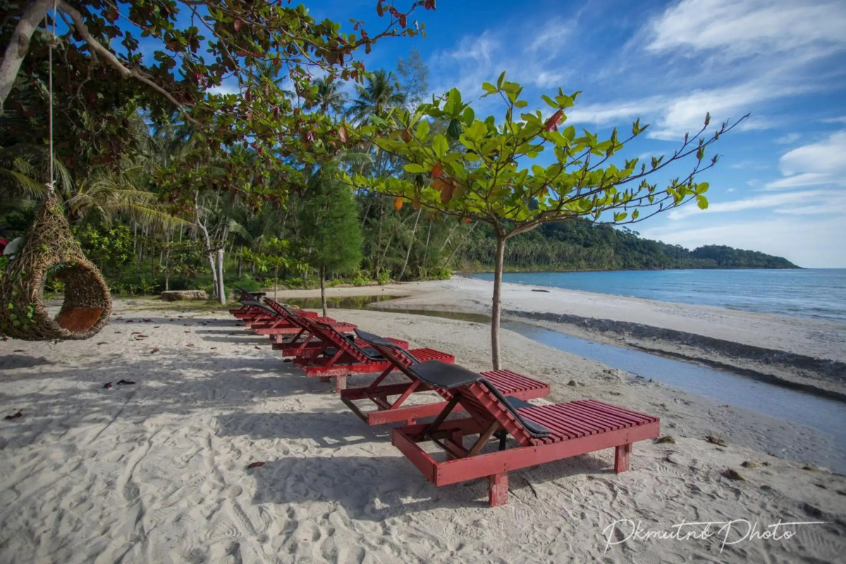 Sunshine on the rock