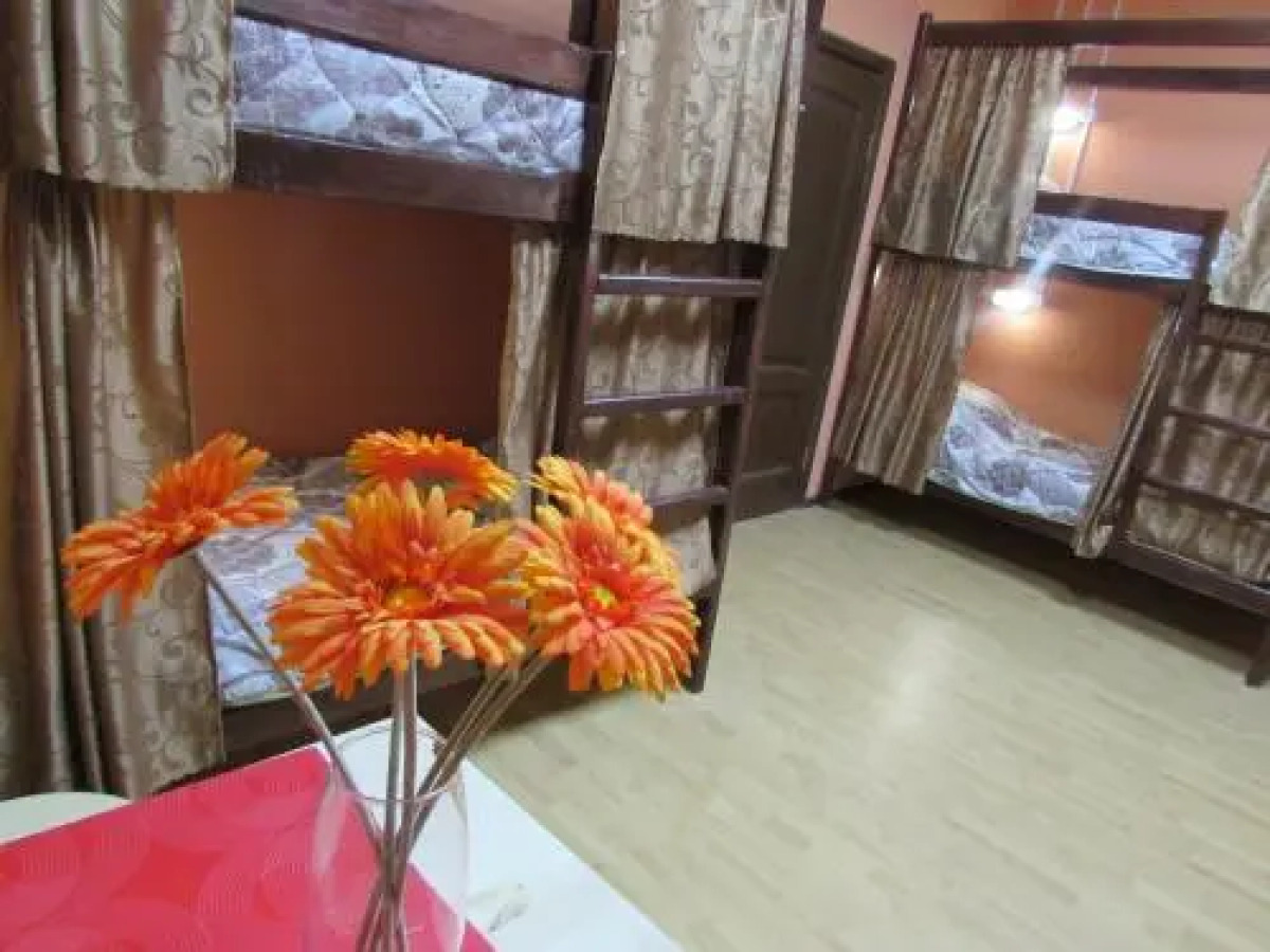 Жилые помещения My