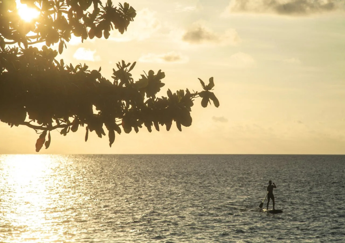 Bali Lovina Beach Cottages