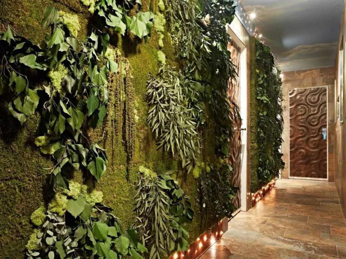 Le Rêve De Naim - Roma