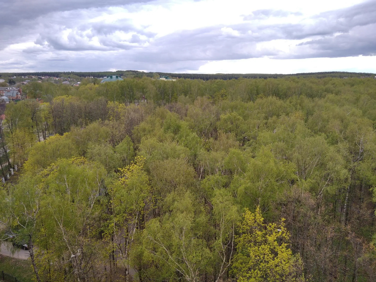 Атмосфера Бархат на Подлипецкой Слободе