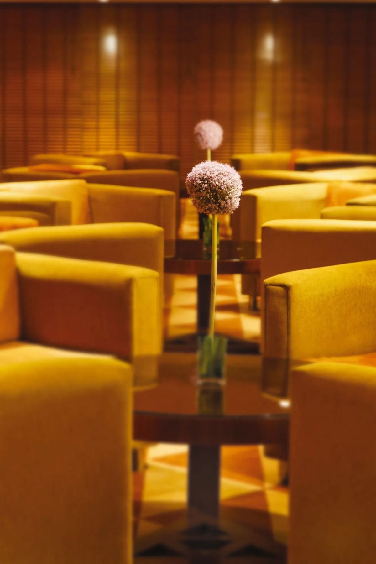 Mövenpick Resort Aswan