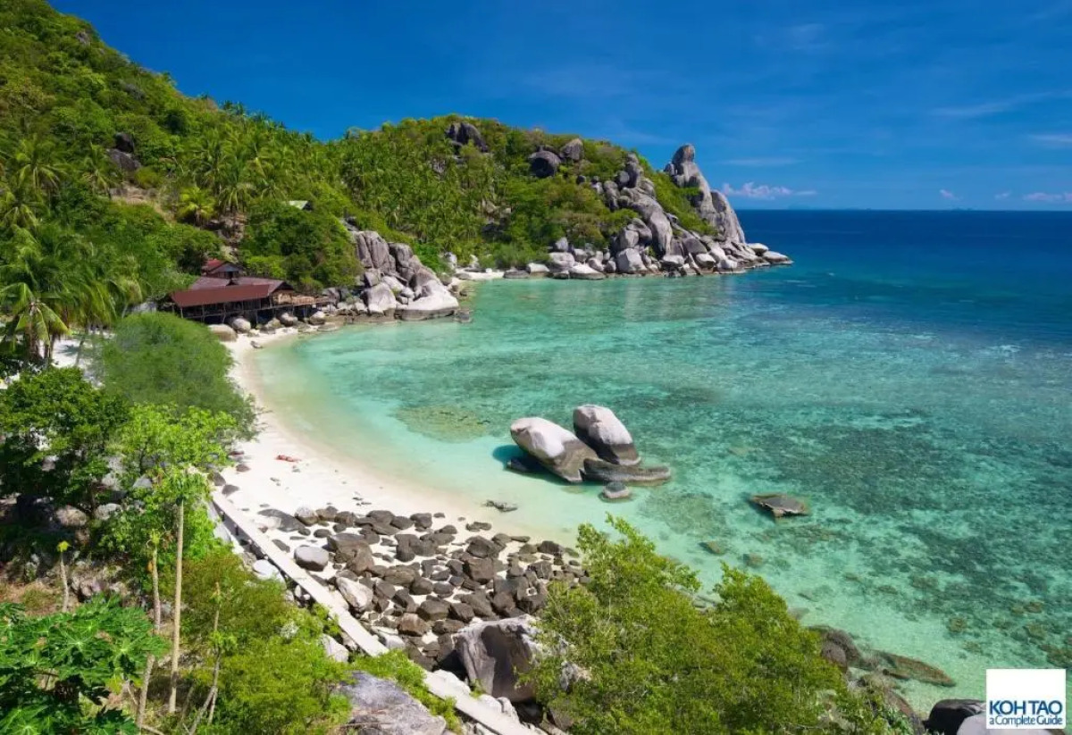 Big Fish Resort Koh Tao