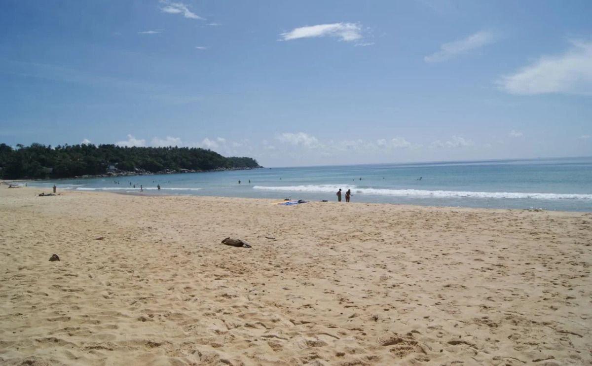 Pineapple Guesthouse