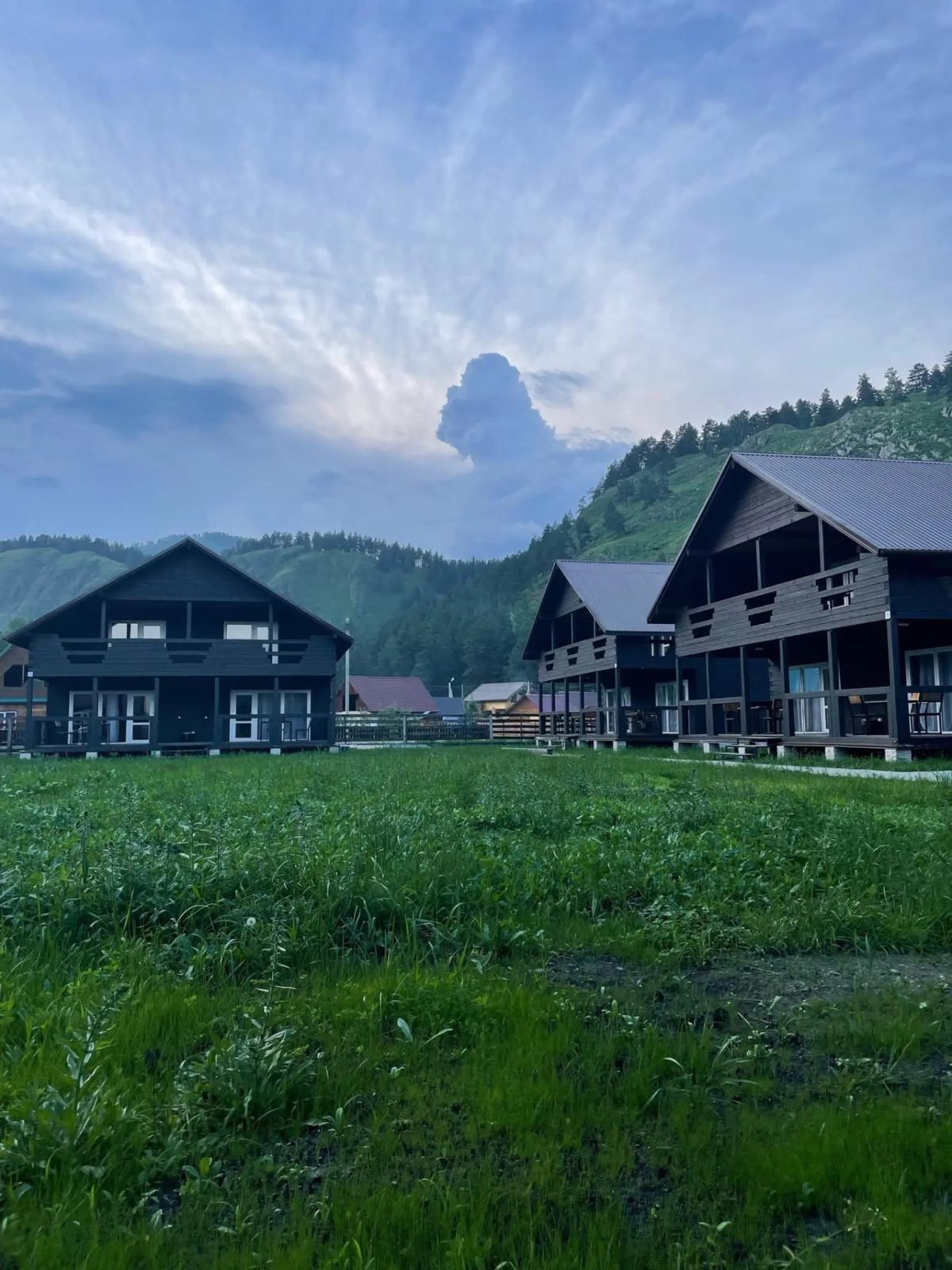 Санаторий Мамонт