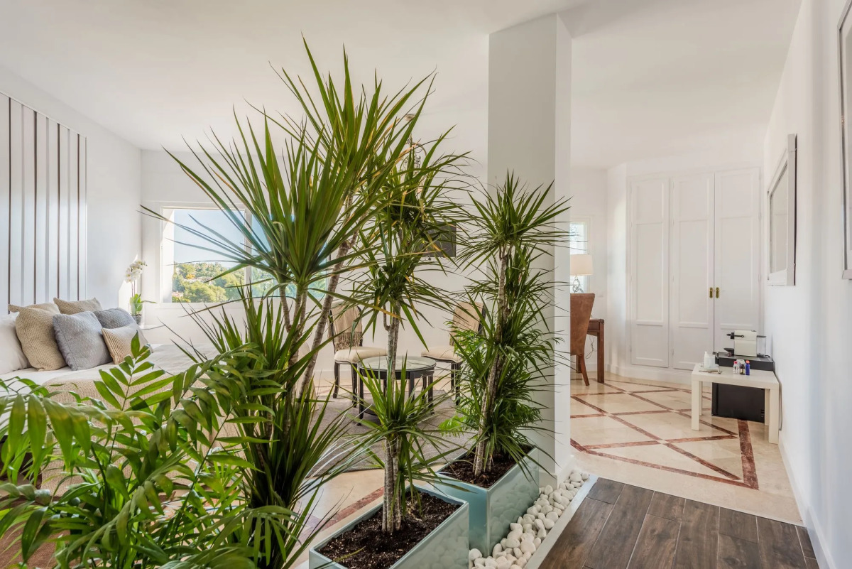 Molo Luxury Suites Puerto Banus