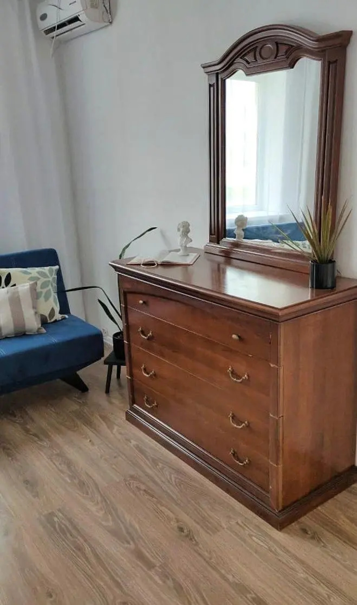 Солнечный эвкалипт на улице Крылова