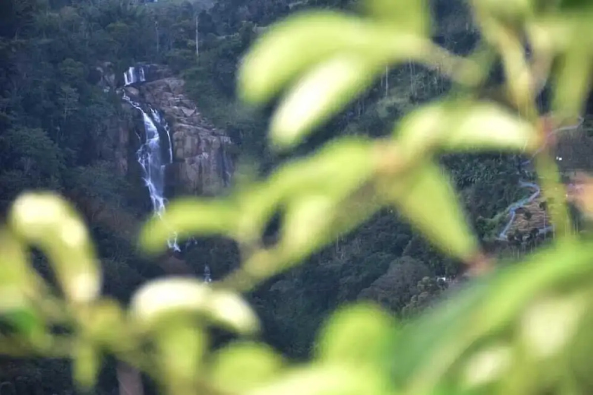 Ella Village View Homestay