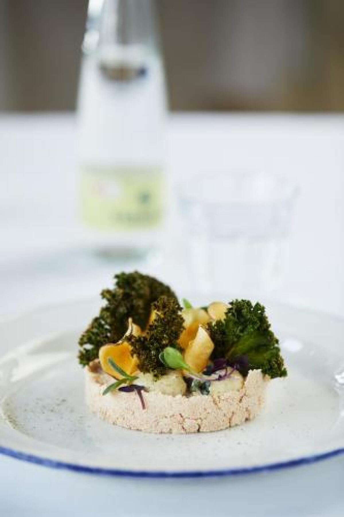 Stevns Klint Strandpension