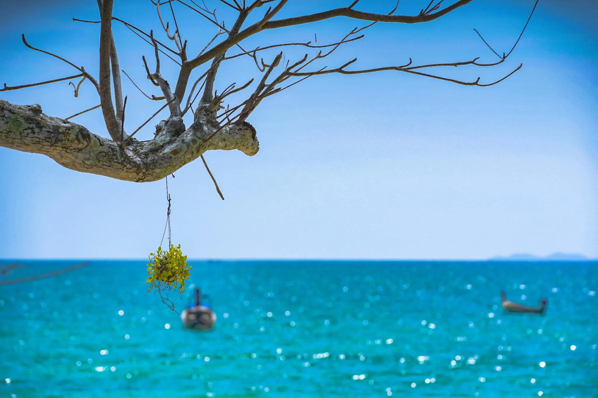 Anyavee Krabi Beach Resort