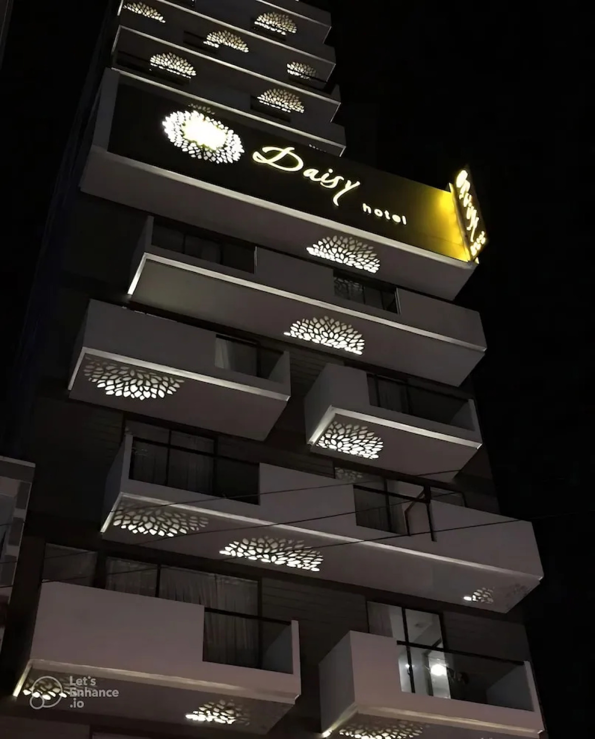 Daisy Flower Nha Trang