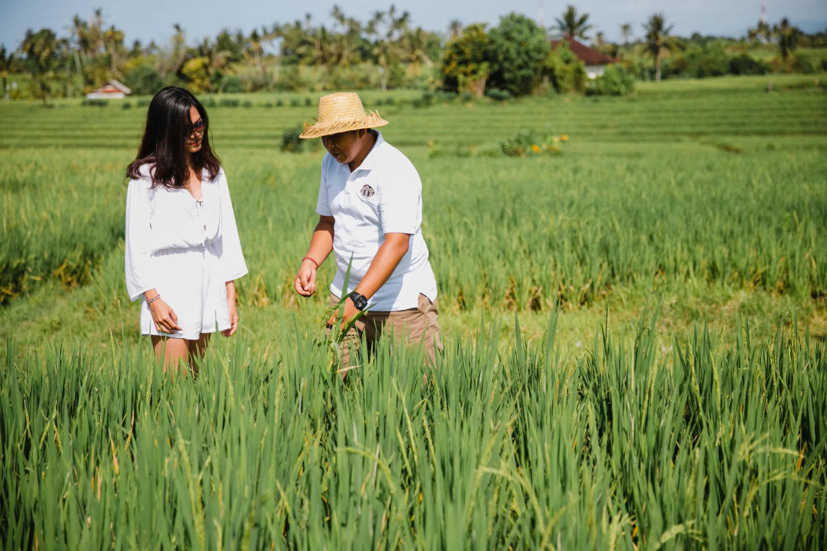 Nyanyi Sanctuary Villa by Ini Vie Hospitality