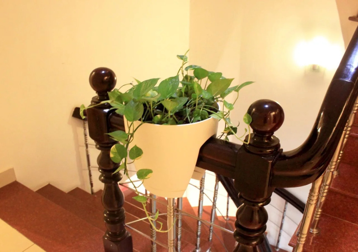 The Alley Saigon Hotel