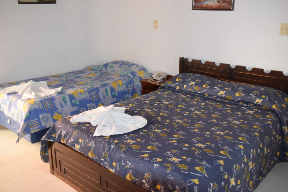 Hotel Palmas del Sol