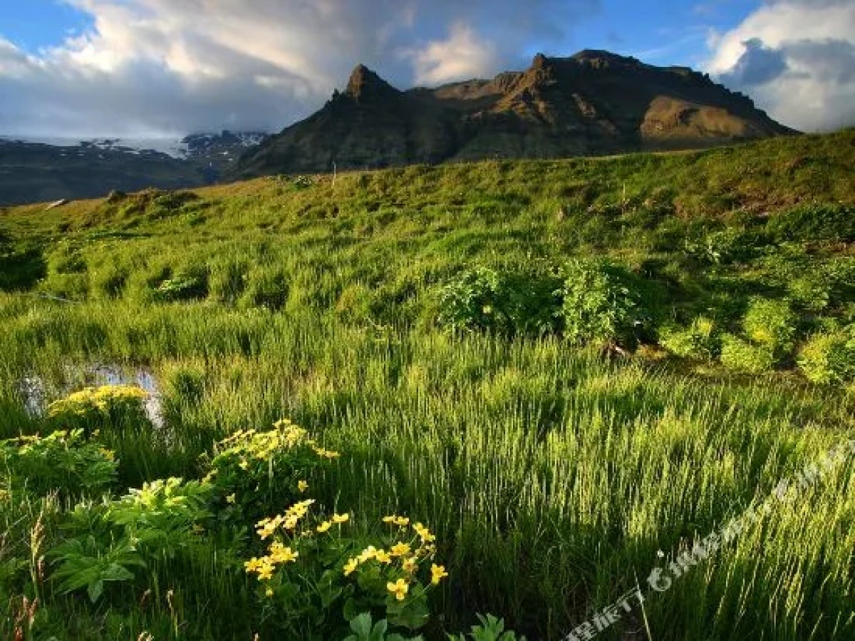 Welcome Guesthouse Edinborg