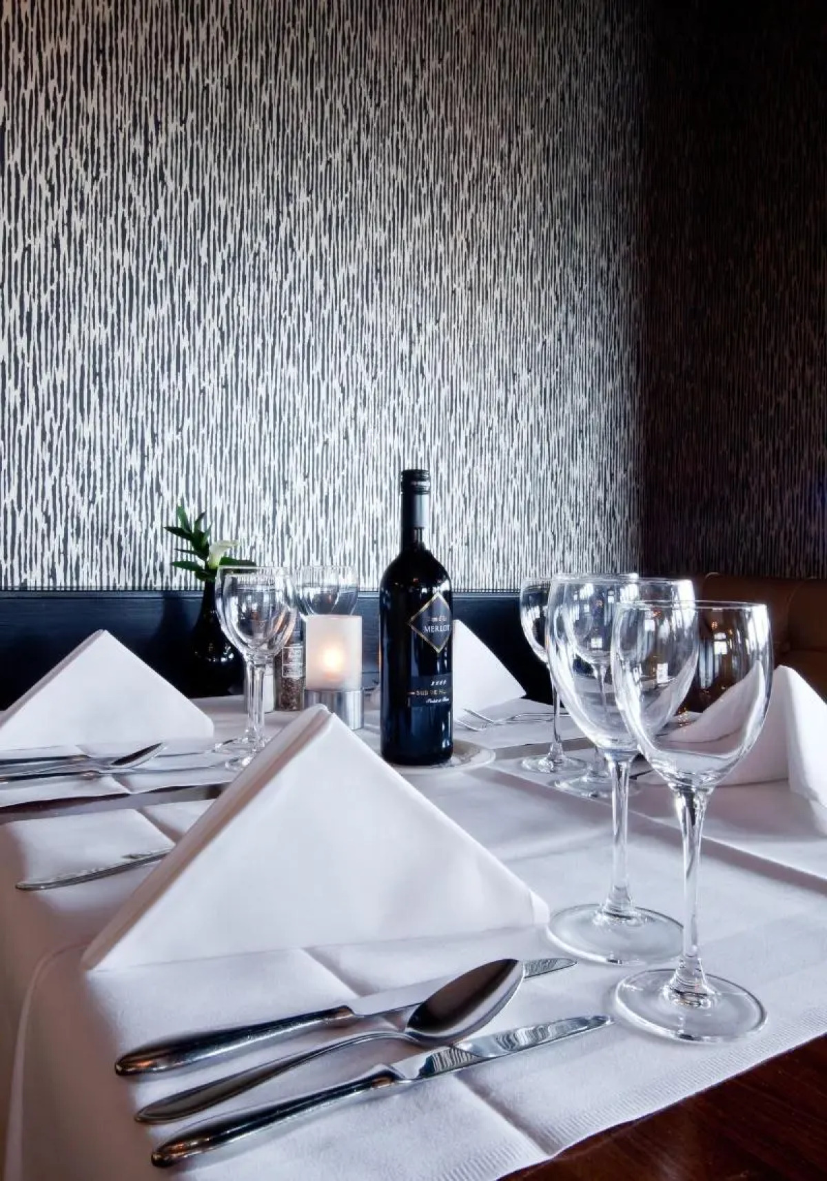 Van Der Valk Avifauna