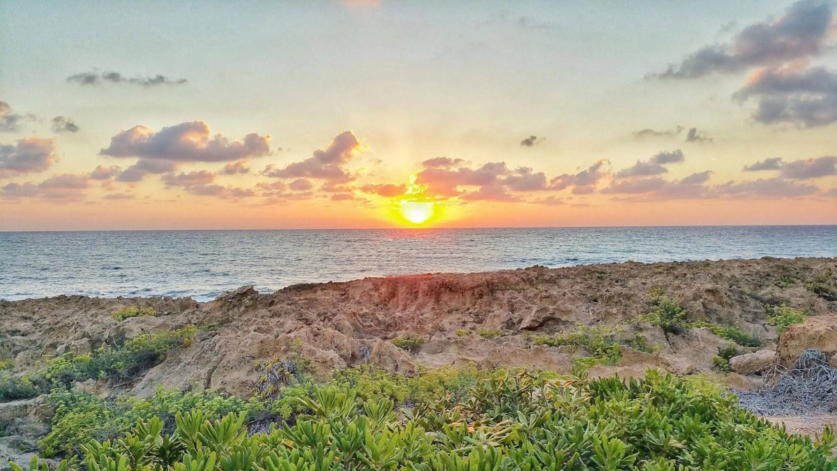 Cynthiana Beach Hotel