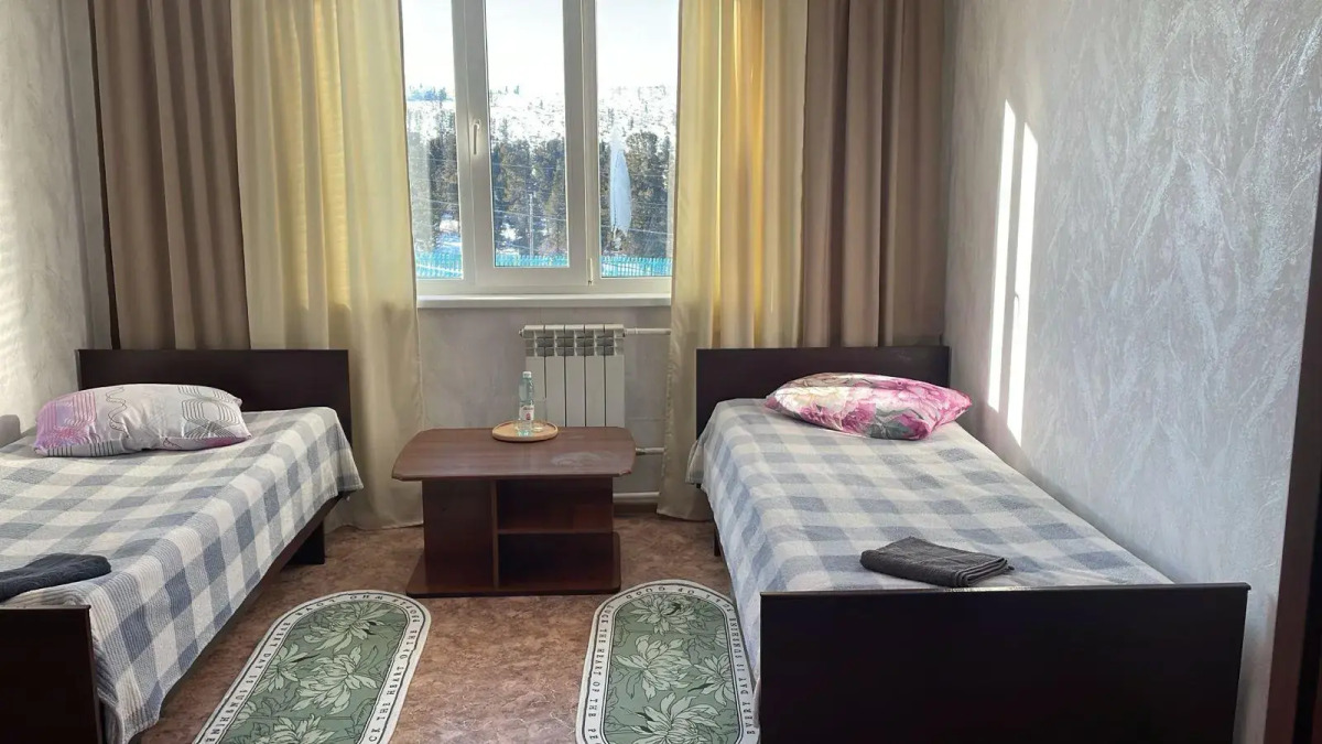 Кедр Золотой