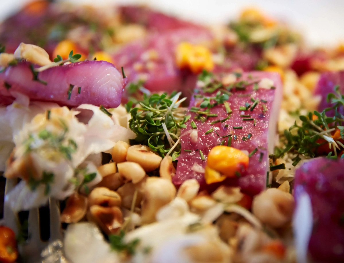 Best Western Plus Hotel Fredericia