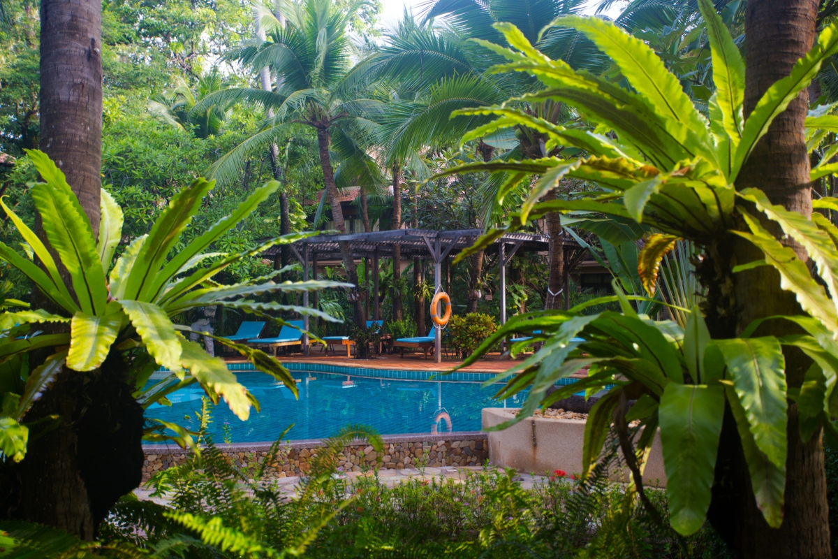 Rabbit Resort Pattaya